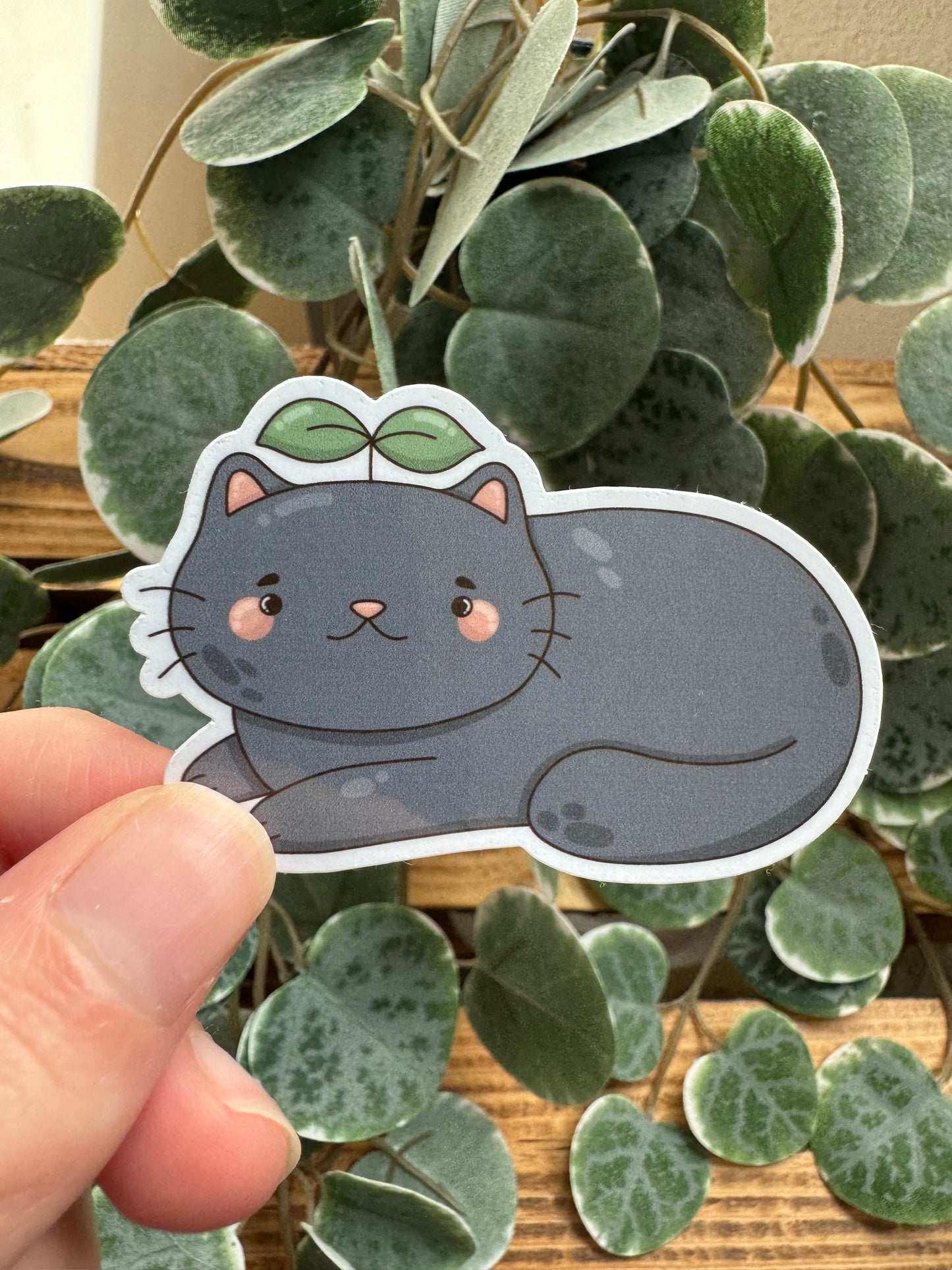 Kawaii Sticker Katze cute Laptop Aufkleber