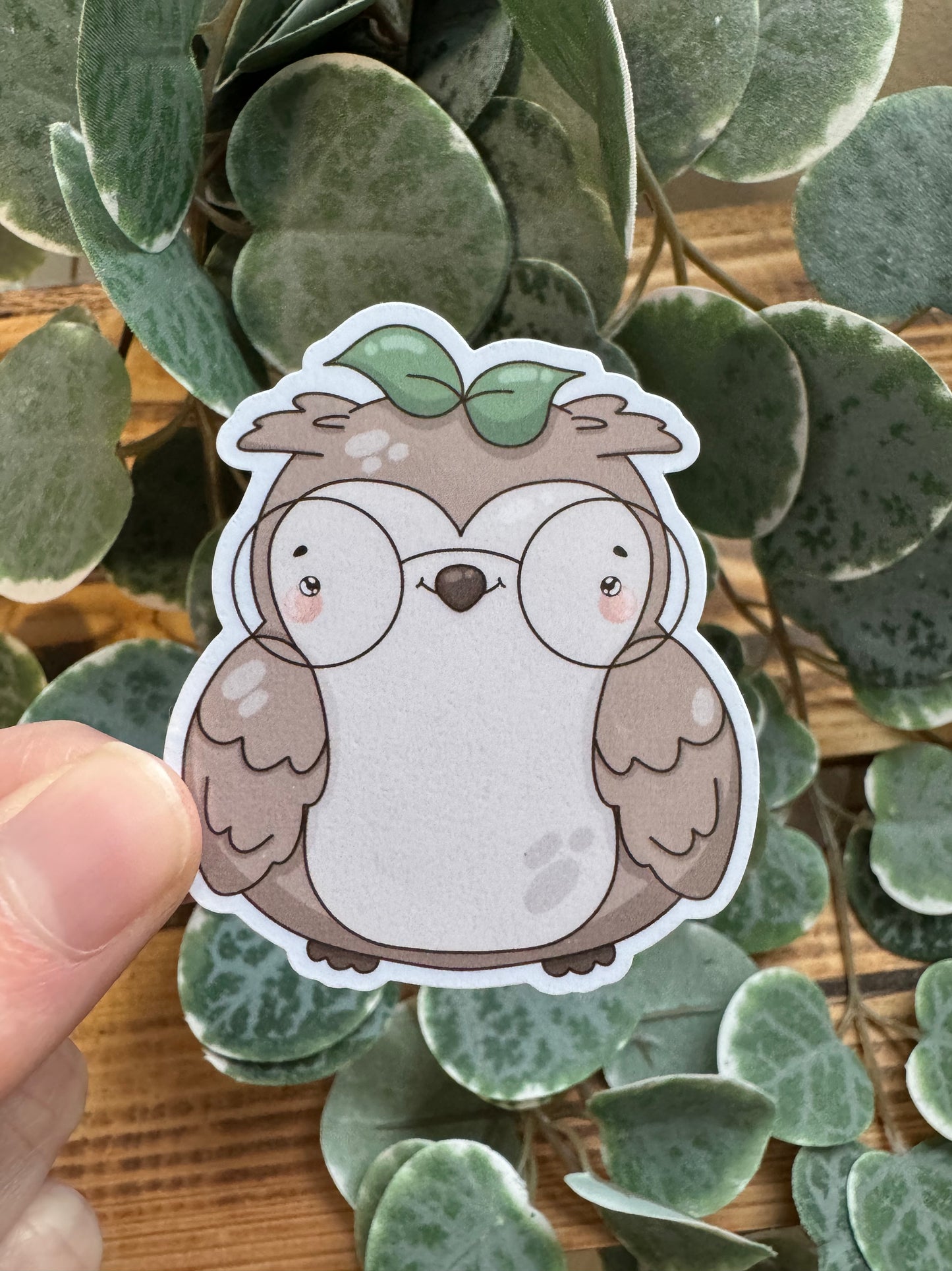 Kawaii Sticker Eule cute Laptop Aufkleber