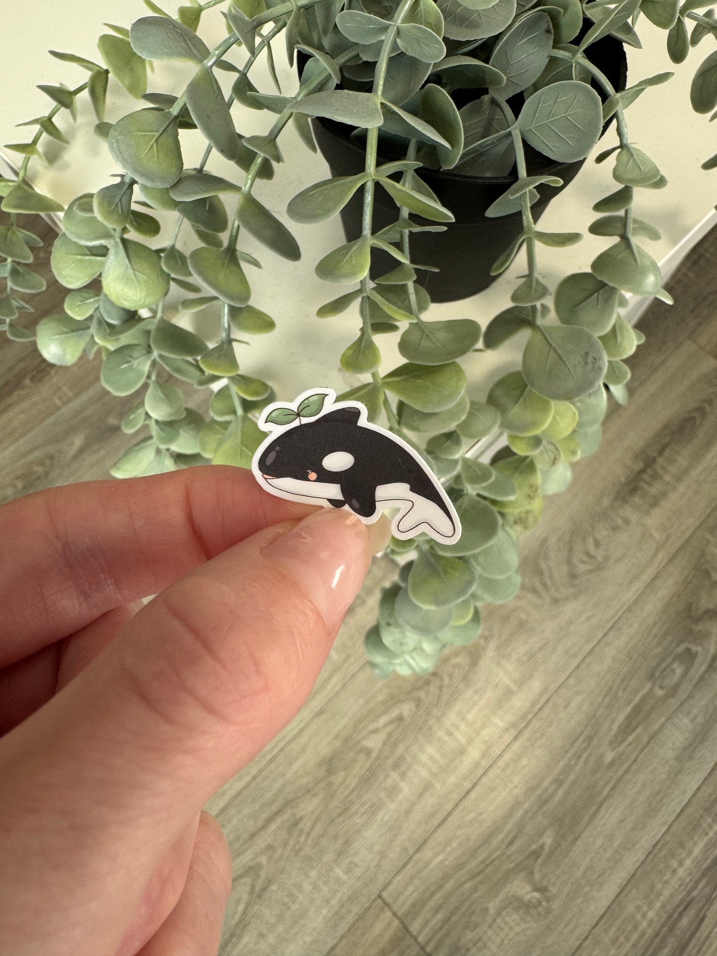 Sticker Orca Seite kawaii