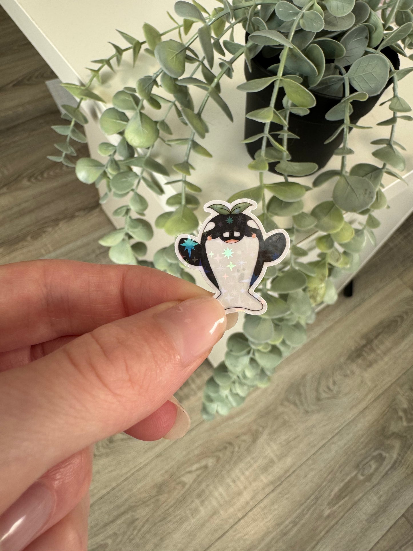 Sticker Orca vorne kawaii