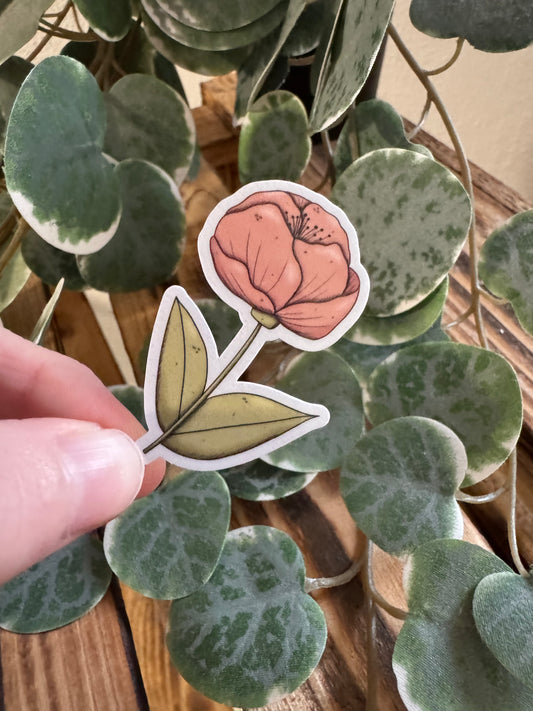 Kawaii Sticker Mohnblume cute Laptop Aufkleber