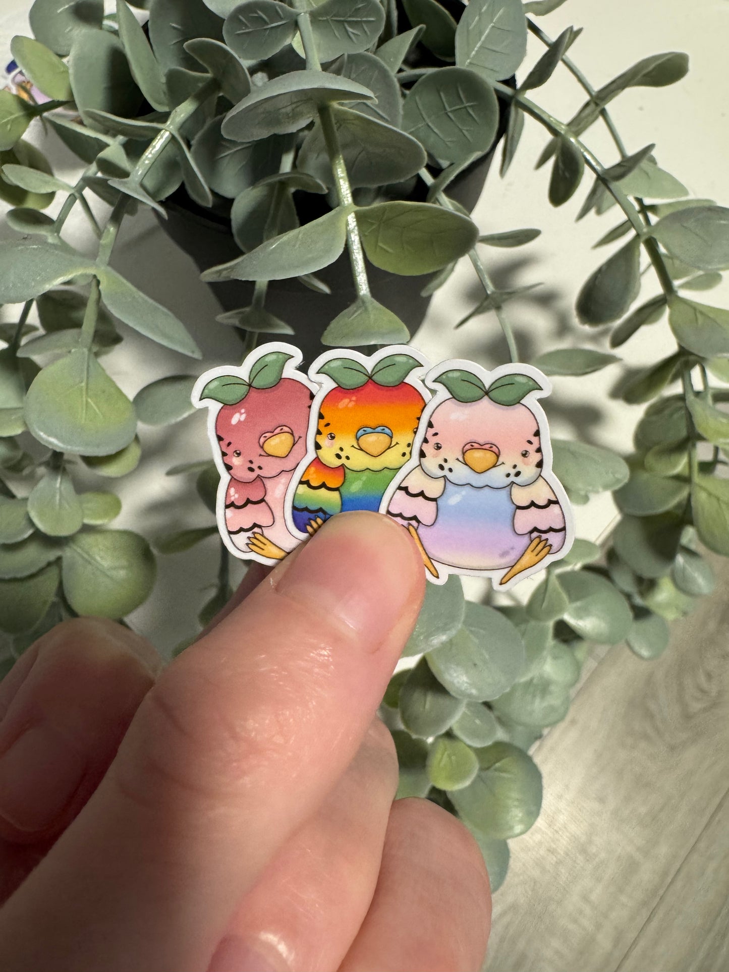 Kawaii Sticker Wellensittich bunt cute Laptop Aufkleber