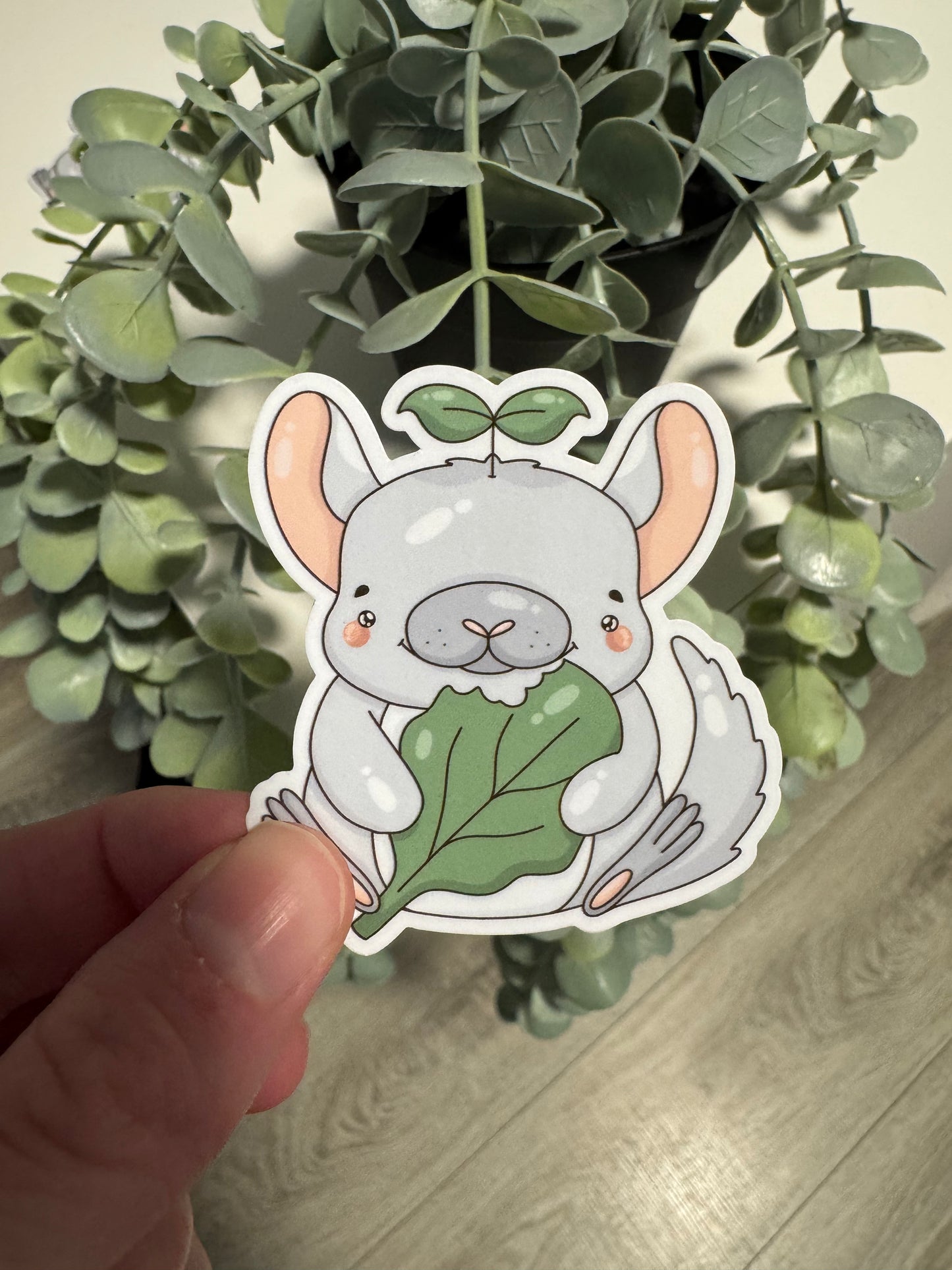 Chinchilla Sticker kawaii