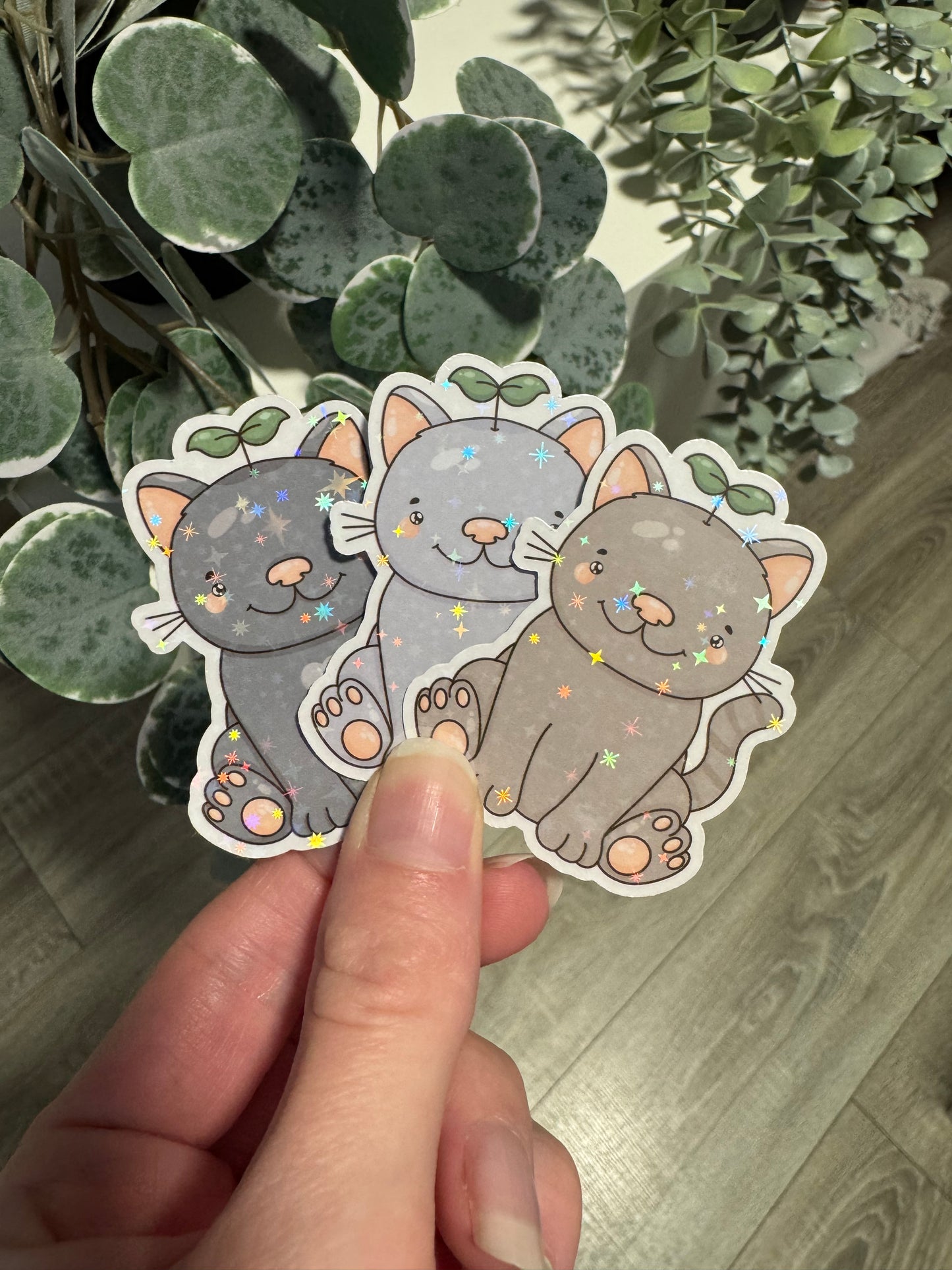 Sticker Britisch Kurzhaar Katze kawaii